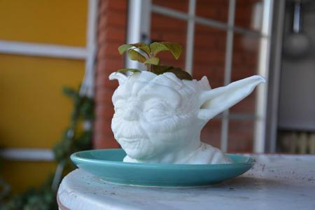yoda