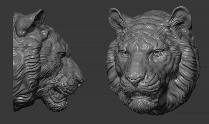 Tiger toothy