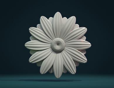 Daisy