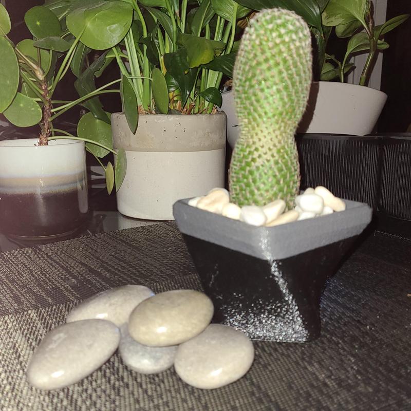 “Somehting Twisted” Planter