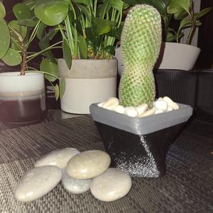 “Somehting Twisted” Planter