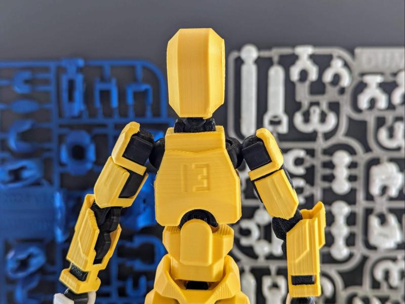 Dummy 13 V1 Kit Card