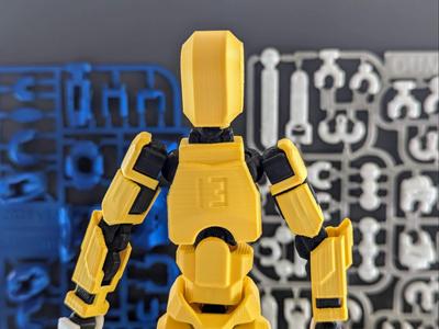 Dummy 13 V1 Kit Card