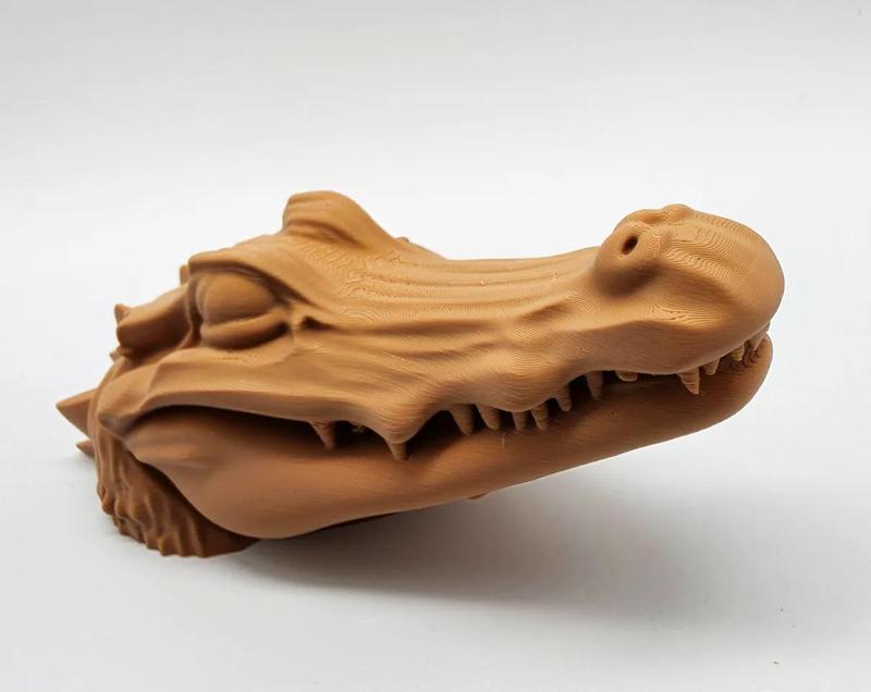 Peek-a-boo Alligator   