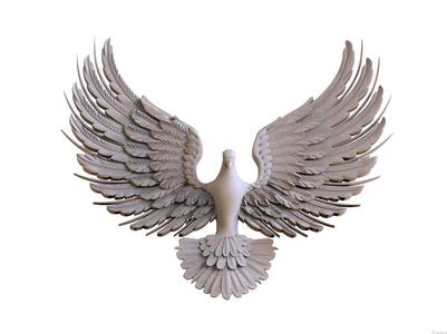 Flight of bird