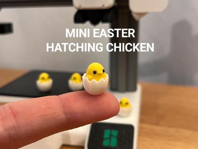 Mini Easter Hatching Chicken