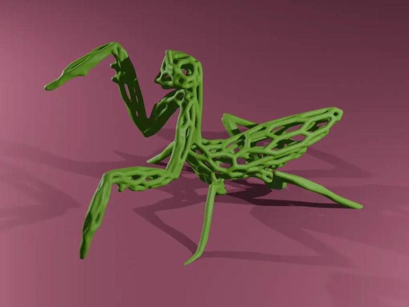 Praying Mantis Voronoi