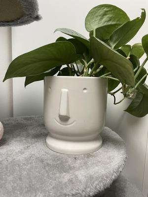 Smile Flowerpot