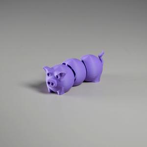 Wiggly Pig