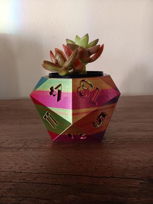 20 sided dice plant pot