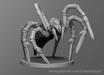 Sword spider