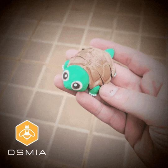 Osmia Flexible Tortoise !!!
