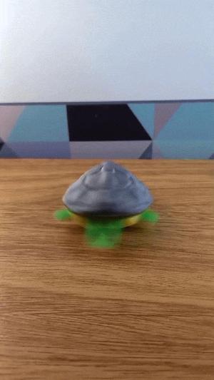 Flexi Tortoise / Tortoise Articulated