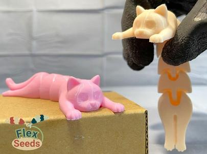 Flexi Holding Cat (Print-in-place)