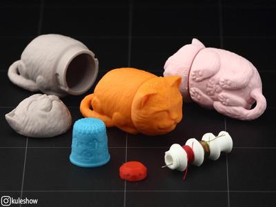 Sleeping Cat Needlecase