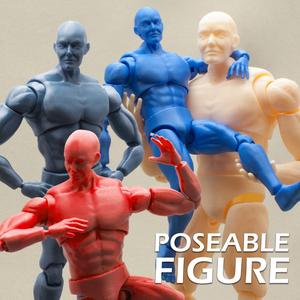 Articulated Poseable Male Figure