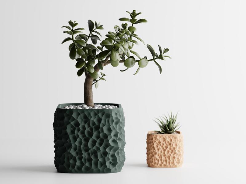 Plant Pot TerraForma