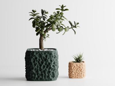 Plant Pot TerraForma
