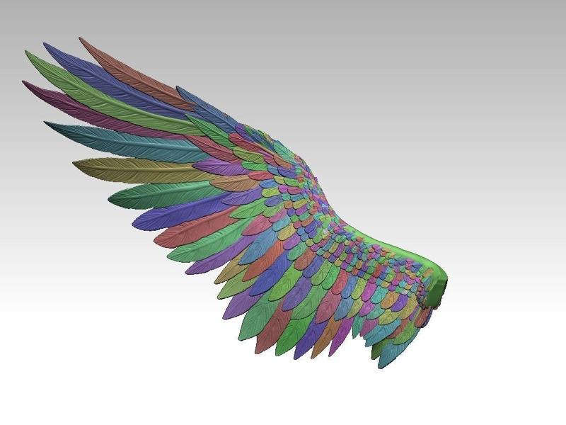 wing bird and angel