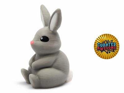 Cute Mini Bunny