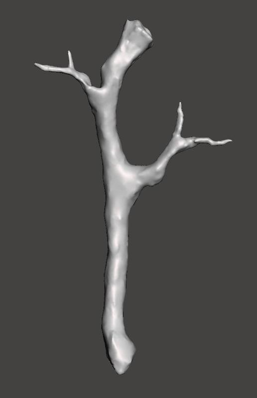 BOTW Tree Branch #202 Hyrule Compendium