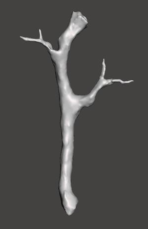 BOTW Tree Branch #202 Hyrule Compendium