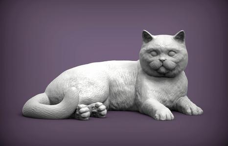 british shorthair cat