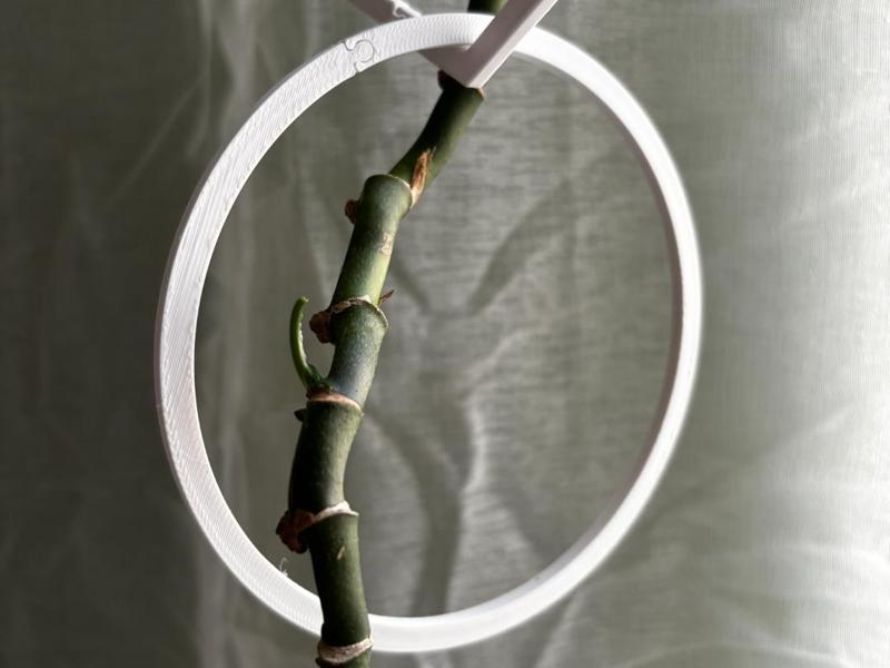 Trellis Chain