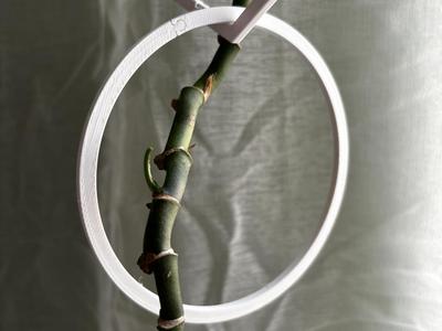 Trellis Chain