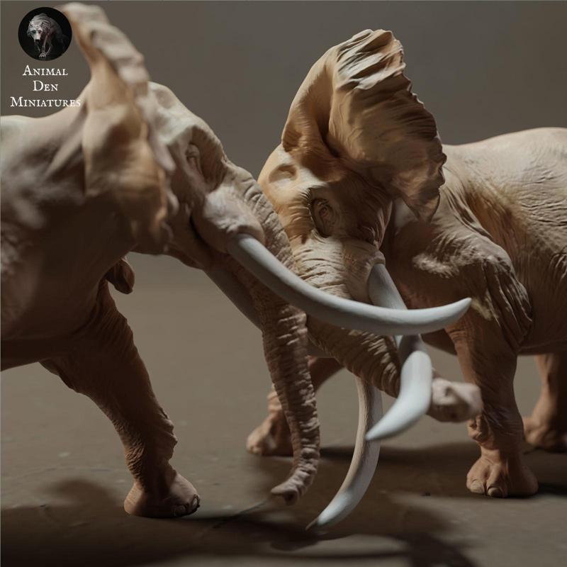 Elephant Bulls Fight