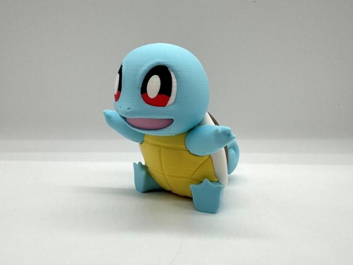 squirtle Multicolor