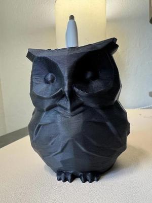 Cute Low Poly Owl Pot