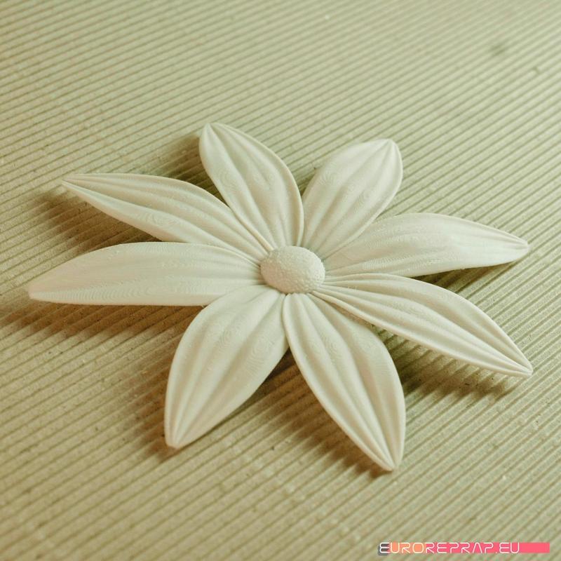 flowers: Aster – 3D printable model
