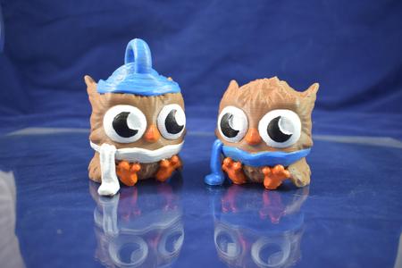 Winter Owl