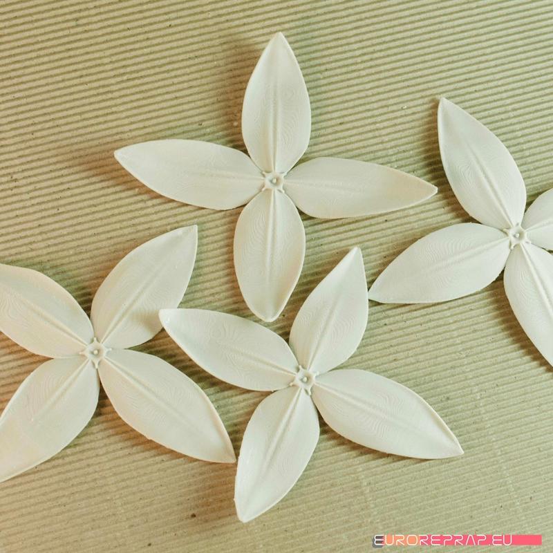 flowers: Ixora – 3D printable model