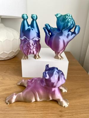 English Bulldog Yoga Pose Set of 3