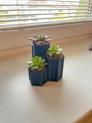 Triple vase for small succulents- vase mode