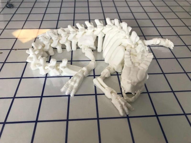 Articulated Skeleton Dragon