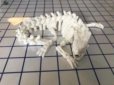 Articulated Skeleton Dragon