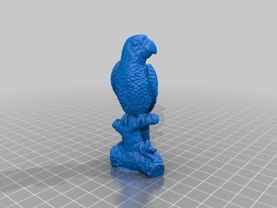 Macaw parrot - 3D Scan