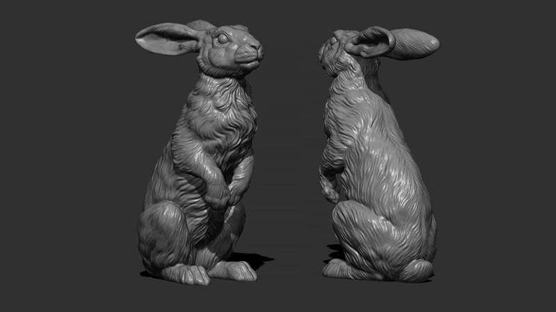 Hare sitting