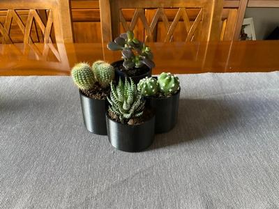 Succulent plant pot