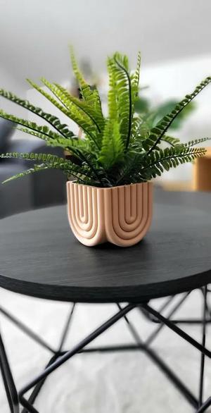 Plant Pot