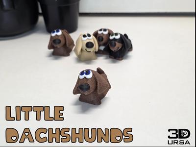 Little Dachshund Longhaired