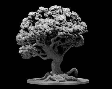 Awakened Plants 2025