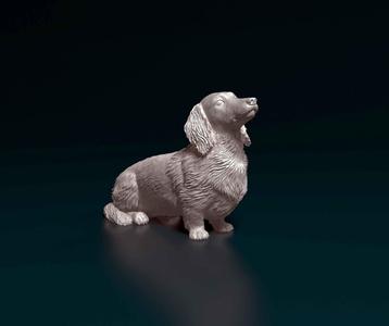 Dachshund dog