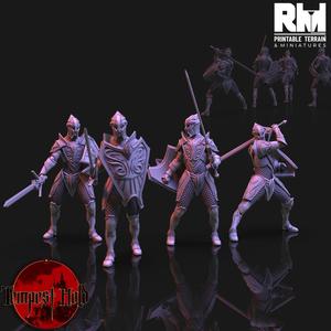 Frost Elves Foot Soldiers