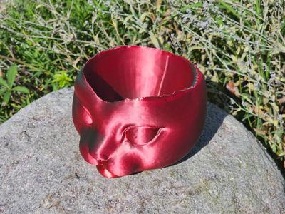 Cat bowl
