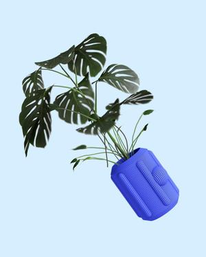 H33 Shape Vase