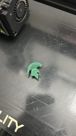 Michigan State University Croc Charm